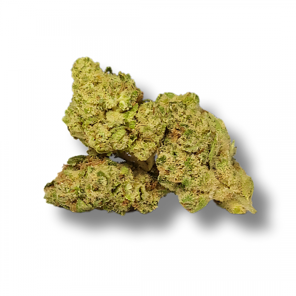 JACK HERER