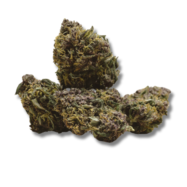 Purple Medium Bud