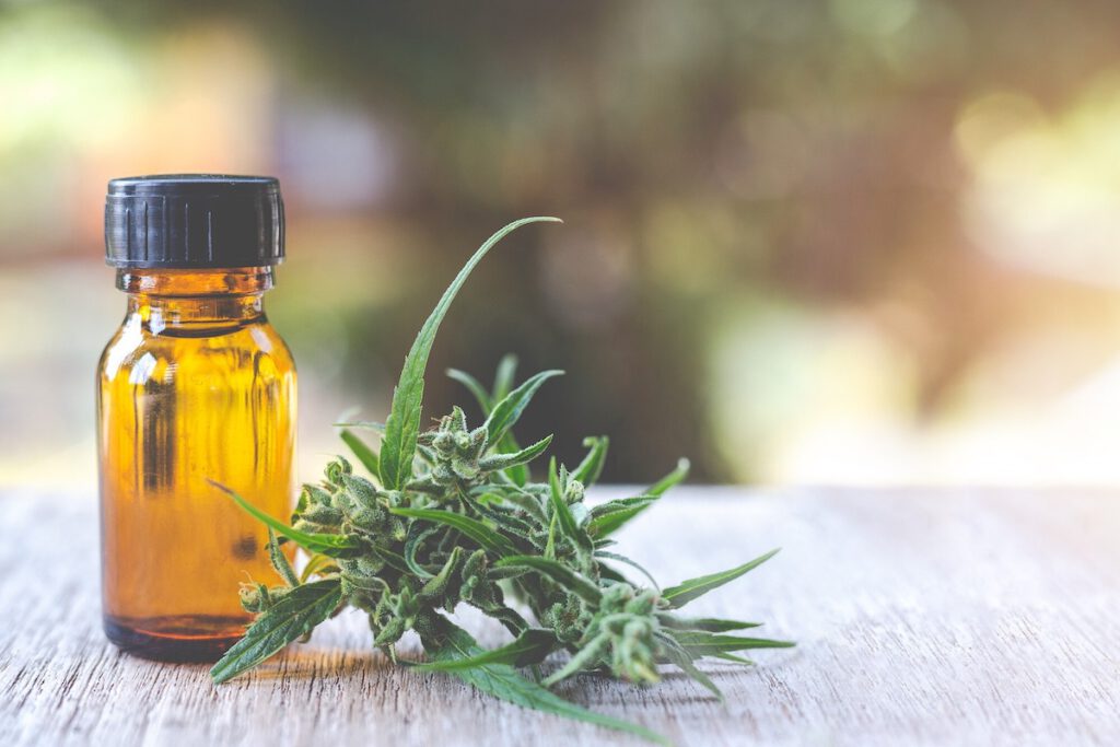 dosis cbd