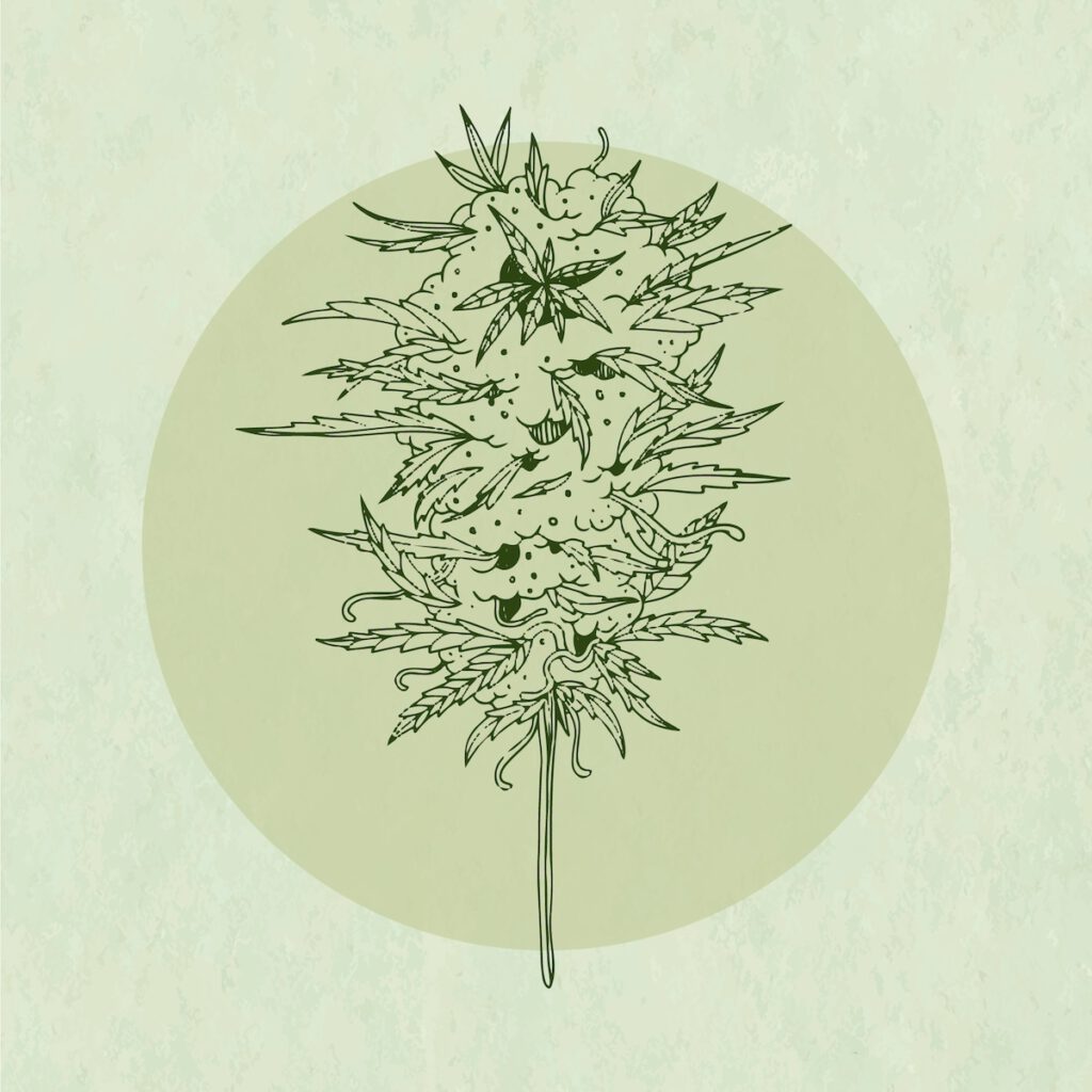 terpenos