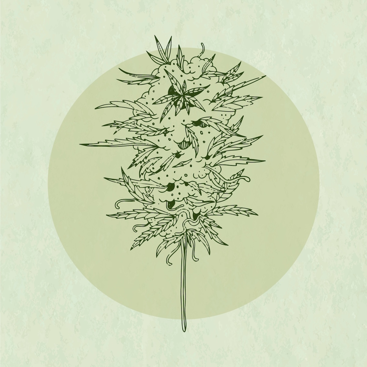 terpenos
